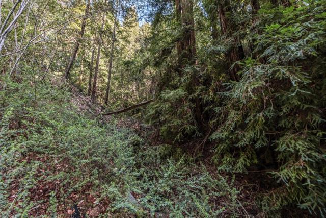 0 Antler Street, Felton CA: https://media.crmls.org/mediaz/a7bbfaeb-7d1b-41e1-88f2-f4954bf52d22.jpg