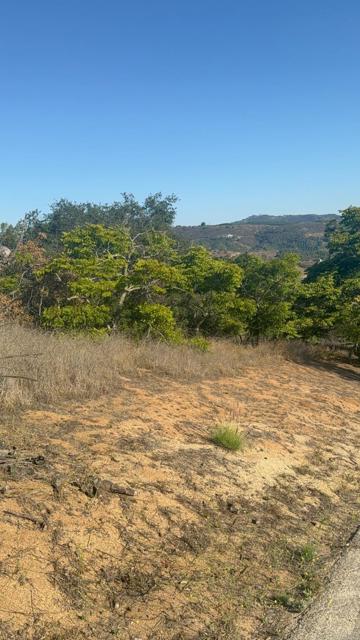 0 Palos Verdes Drive, Escondido CA: https://media.crmls.org/mediaz/a7be1c23-78f7-4e37-ad21-fc19e9193dcd.jpg
