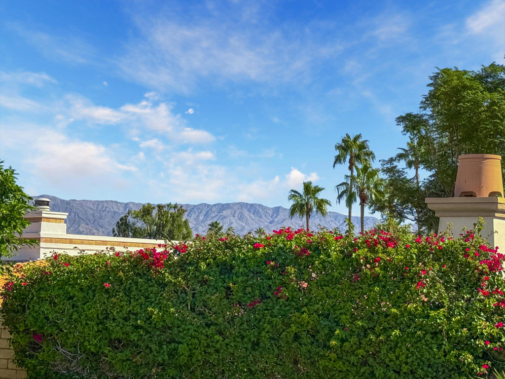 MLS #219138050DA image #24