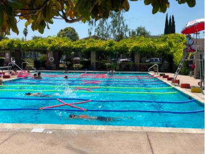 MLS #ML81916701 image #39