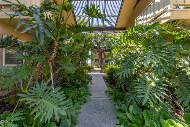 385 Cliff Drive, Pasadena CA: https://media.crmls.org/mediaz/a7d41475-014e-4b37-9b85-5c7df4bc3124.jpg