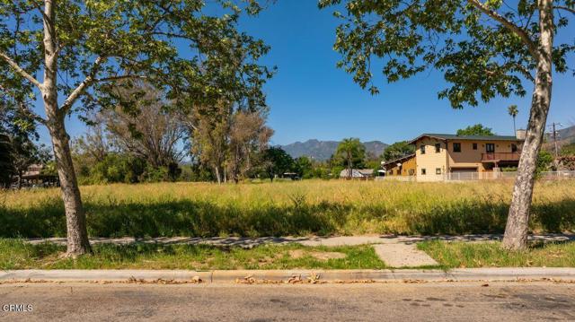 Detail Gallery Image 18 of 30 For 401 S Fulton St, Ojai,  CA 93023 - – Beds | – Baths