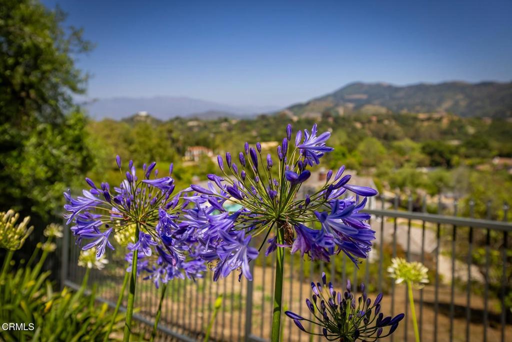 A7Dc5468 F6Cb 480B 8F55 15712180Db1A 10945 Alto Court, Oak View, Ca 93022 &Lt;Span Style='BackgroundColor:transparent;Padding:0Px;'&Gt; &Lt;Small&Gt; &Lt;I&Gt; &Lt;/I&Gt; &Lt;/Small&Gt;&Lt;/Span&Gt;