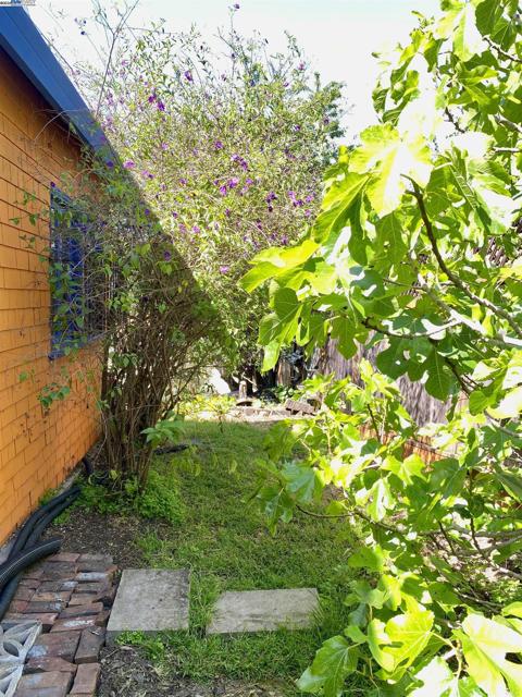 Image 43 of 51 For 227 Orange Street