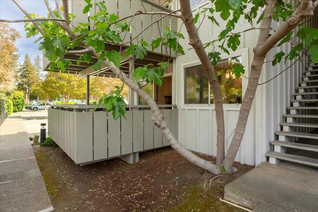 255 S Rengstorff Avenue, Mountain View CA: https://media.crmls.org/mediaz/a7e38630-757d-4c16-a891-dfe84faf77ac.jpg