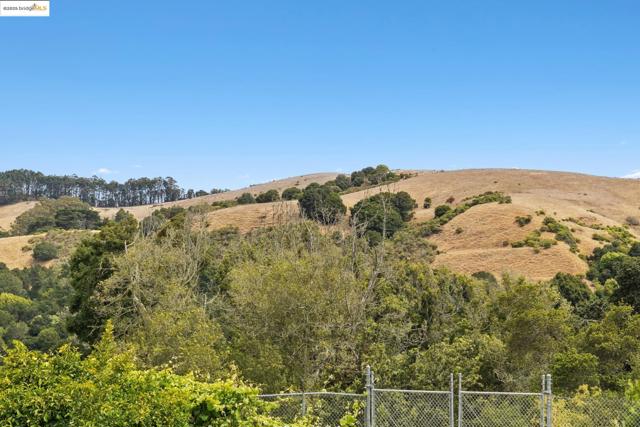 1494 Olive Ave, Richmond CA: https://media.crmls.org/mediaz/a7e8b09c-a660-4d57-bf25-585b1d71e82c.jpg