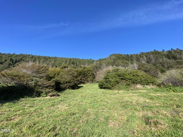 Detail Gallery Image 32 of 40 For 41301 Seascape Dr, Westport,  CA 95488 - 2 Beds | 2/1 Baths