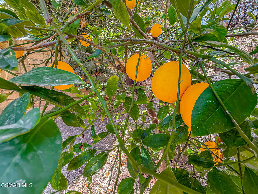 https://media.crmls.org/mediaz/a7ea4d81-c67d-4718-aece-0ae6cee6f26e.jpg?preset=X-Large