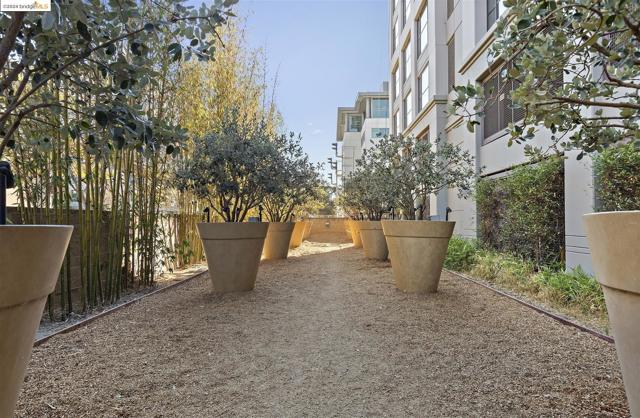 Image 30 of 60 For 311 2nd St  816