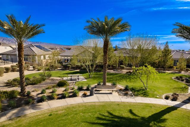 Grassy Area Behind Home