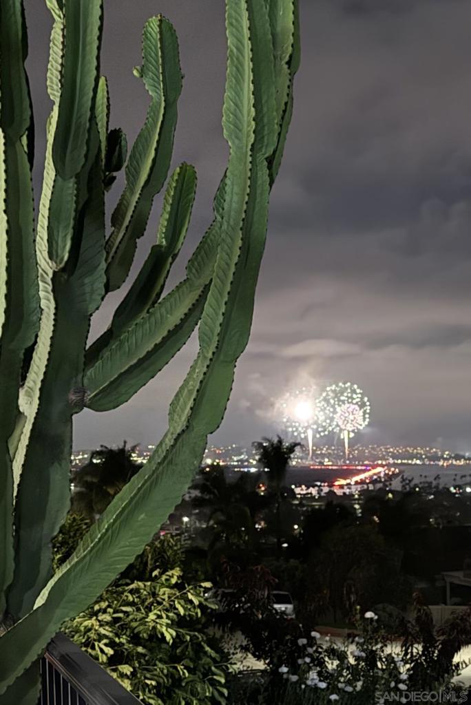 MLS #250033080SD img 26