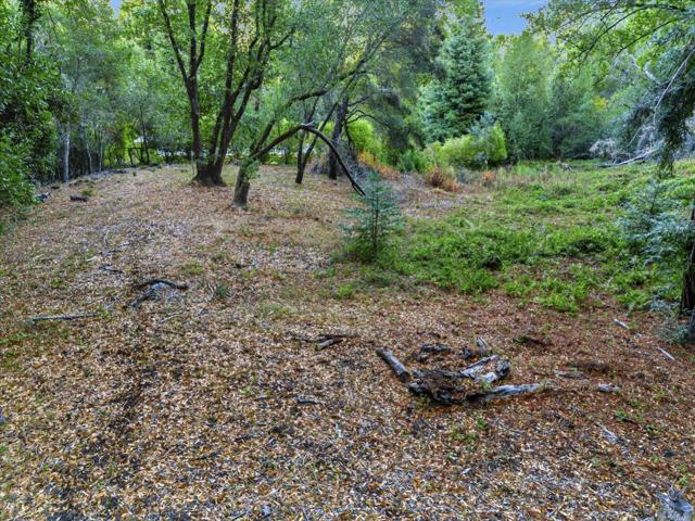 12 Montecito Road, Woodside CA: https://media.crmls.org/mediaz/a8028026-ad0a-4faf-95c4-3862fd5a26d3.jpg