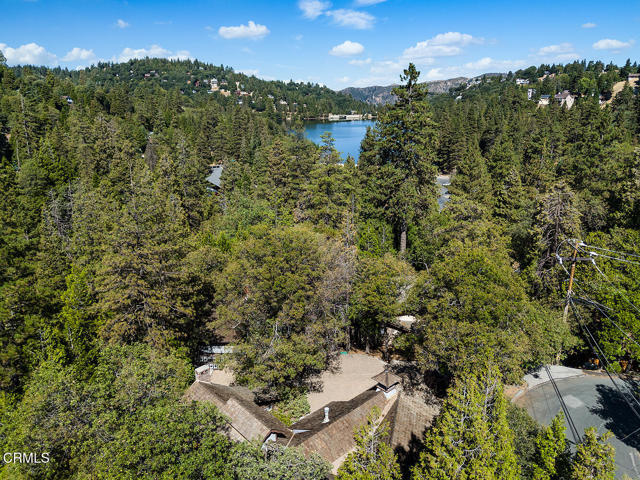 Detail Gallery Image 51 of 54 For 24749 Basel Dr, Crestline,  CA 92325 - 7 Beds | 3/1 Baths