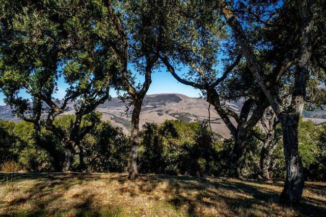 17114 Cachagua Road, Carmel Valley CA: https://media.crmls.org/mediaz/a81130a4-8dc7-4aba-814a-4df913b954a2.jpg