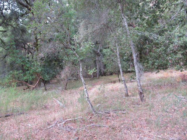 0 E Hilton, Boulder Creek CA: https://media.crmls.org/mediaz/a81e47d5-939e-43e9-a09a-85db8866de04.jpg