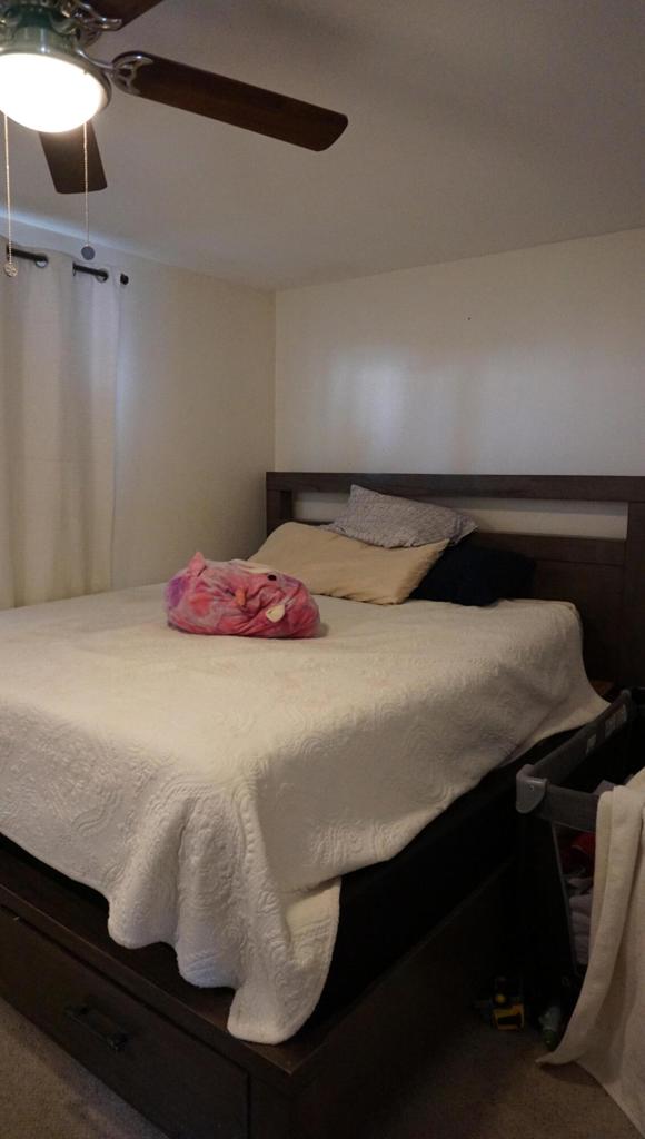 MLS #219139866DA image #9