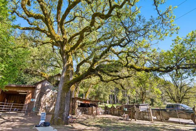 4200 Glenwood Drive, Scotts Valley CA: https://media.crmls.org/mediaz/a823c44e-4371-43af-9460-d148d7b3a3de.jpg