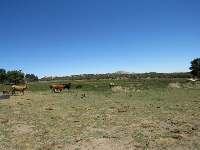 Detail Gallery Image 42 of 47 For 200 Acres Mccain Valley Rd, Boulevard,  CA 91905 - – Beds | – Baths