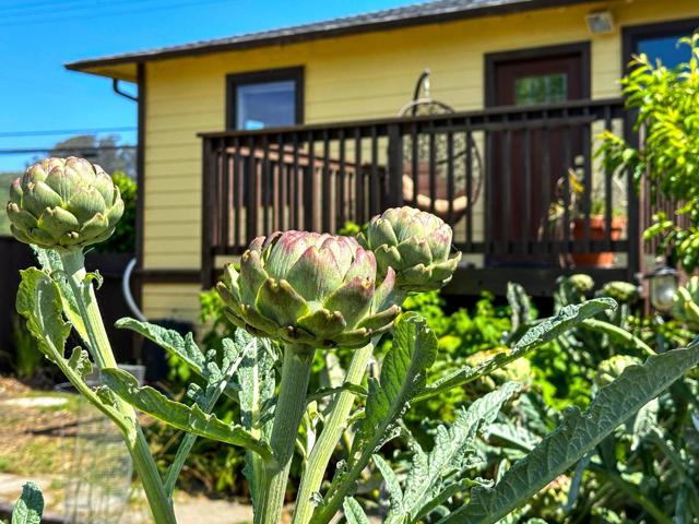 1441 Pescadero Creek Road, Pescadero CA: https://media.crmls.org/mediaz/a82573ac-86ec-40f7-b59a-7af6361f55e3.jpg