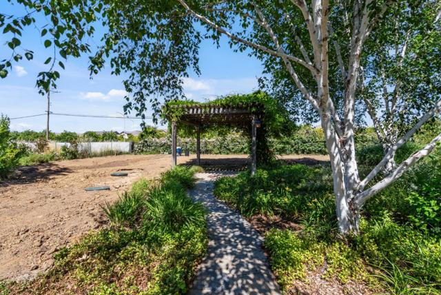 141 Holliday Drive, Hollister CA: https://media.crmls.org/mediaz/a82e2e50-4420-461b-a347-255a2814ca3a.jpg