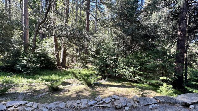 52143 Acorn Lane, Idyllwild CA: https://media.crmls.org/mediaz/a835d761-8a19-4520-ac1b-d11c4af6819d.jpg