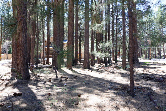 689 Summit Boulevard, Big Bear CA: https://media.crmls.org/mediaz/a842a0a2-2553-43ba-b64f-12258d5b57ee.jpg