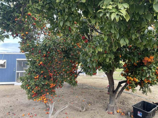12296 Lilac Hl, Valley Center CA: https://media.crmls.org/mediaz/a845ba2f-cdef-476b-9c8c-3bc71617e152.jpg