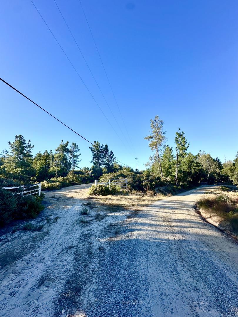 MLS #ML81977847 image #8