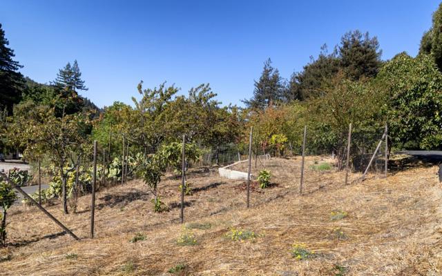 3375 Allred Lane, Soquel CA: https://media.crmls.org/mediaz/a85536d7-9ae6-48f5-bfbd-0bb7bceee285.jpg