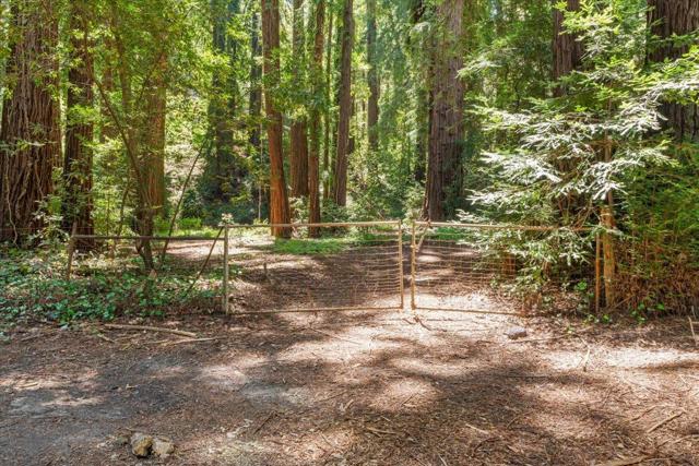 0 Grove Street, Los Gatos CA: https://media.crmls.org/mediaz/a8567420-4817-44be-87be-e9ba6331169d.jpg