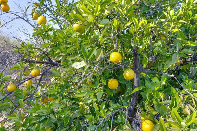 20790 Fortuna Del Norte, Escondido CA: https://media.crmls.org/mediaz/a859968e-ee45-42bc-afc1-17d172773bdc.jpg