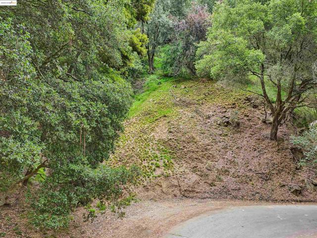 0 Girvin Dr, Oakland CA: https://media.crmls.org/mediaz/a8625958-bc1d-4554-ad38-0c6579c3c3ef.jpg