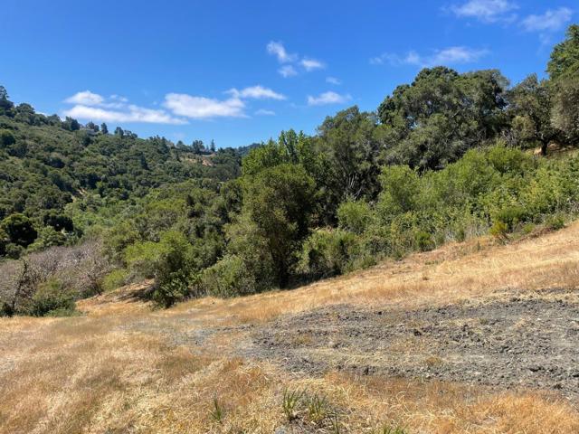 0 Tartan Trail Road, Hillsborough CA: https://media.crmls.org/mediaz/a874fb8b-b1e6-4963-916e-b8496a455682.jpg