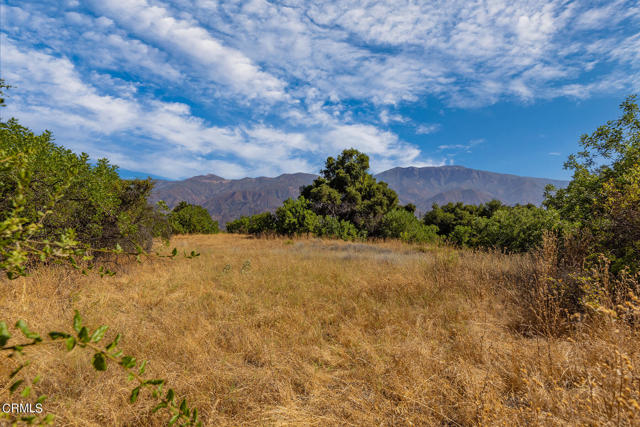 Detail Gallery Image 9 of 22 For 10331 Sulphur Mountain Rd, Ojai,  CA 93023 - – Beds | – Baths