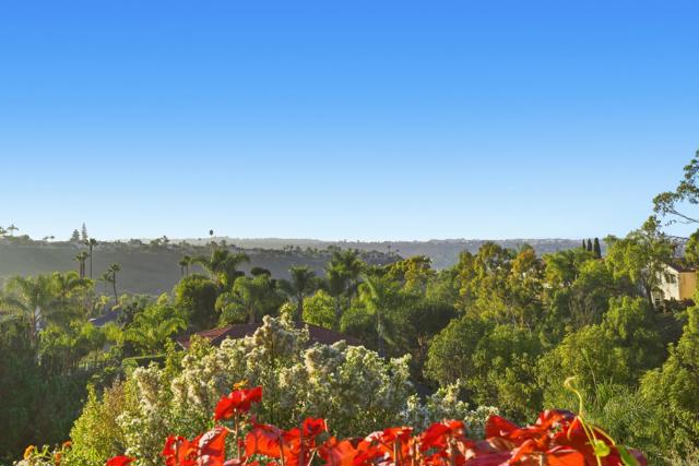 Detail Gallery Image 13 of 54 For 2830 Esturion Pl, Carlsbad,  CA 92009 - 4 Beds | 2/1 Baths