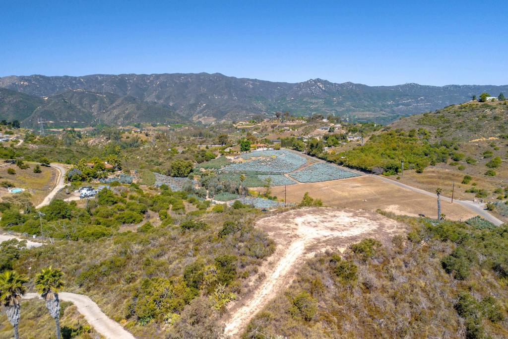 MLS #PTP2504553 image #5