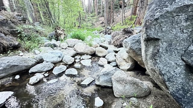25655 Tahquitz Drive, Idyllwild CA: https://media.crmls.org/mediaz/a89762c2-6965-4064-b517-b2885cb42fe5.jpg