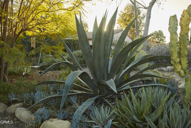 3450 Thacher Road, Ojai CA: https://media.crmls.org/mediaz/a89ad84c-0cbe-4a56-8848-f69a4f37fbcb.jpg