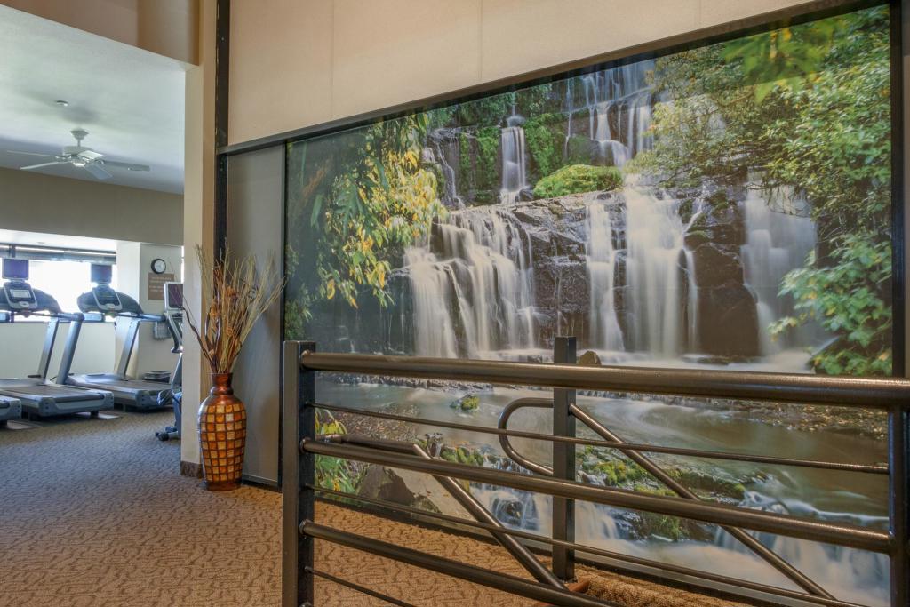 MLS #219138387DA image #45