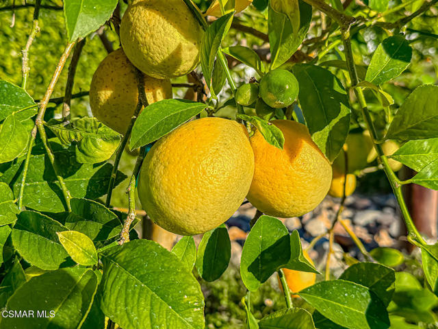 4255 Saddlecrest Lane, Westlake Village CA: https://media.crmls.org/mediaz/a8a6f116-7078-466a-85ce-a049d75fc62e.jpg