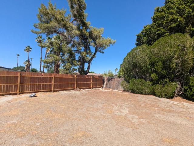 2356 N Blando Road, Palm Springs CA: https://media.crmls.org/mediaz/a8a880d0-874c-43d0-bfd2-1bbf0db2bd49.jpg
