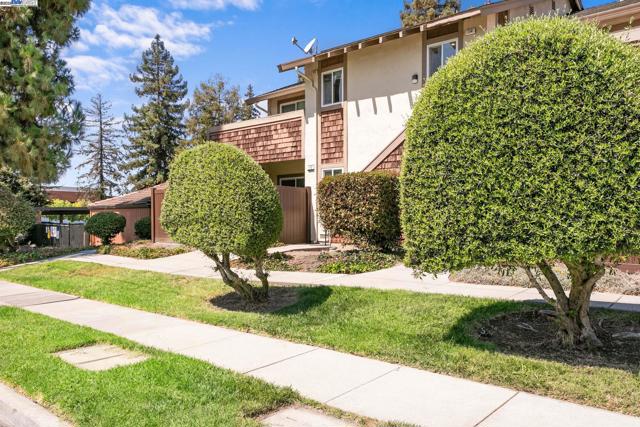114 Hackamore Ln, Fremont CA: https://media.crmls.org/mediaz/a8ac32e5-e908-45fd-a902-214ce2069a74.jpg