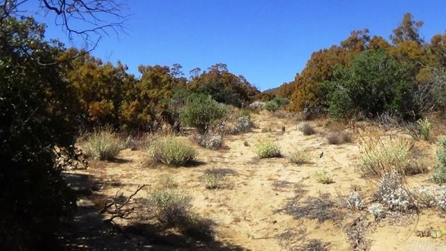 Detail Gallery Image 13 of 41 For 37245 Old Forest Rd, Anza,  CA 92539 - – Beds | – Baths