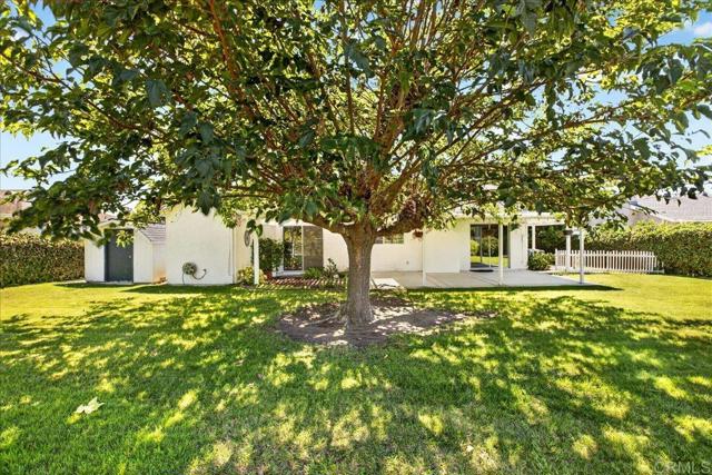 183 Sandberg Street photo 26
