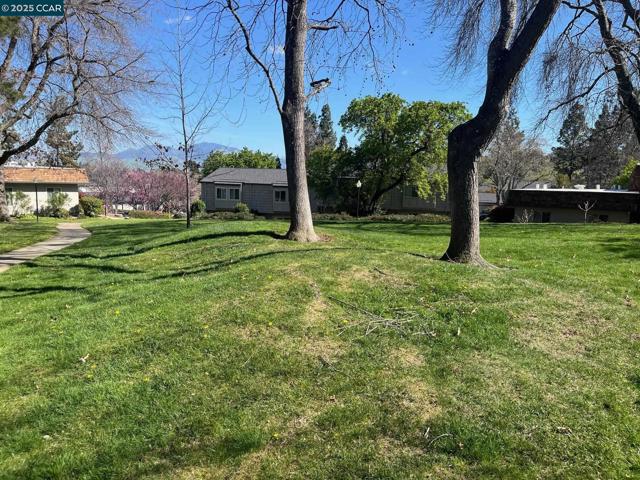 1800 Cannon Dr, Walnut Creek CA: https://media.crmls.org/mediaz/a8e2928c-a052-4834-9ae9-d0d60cc85635.jpg