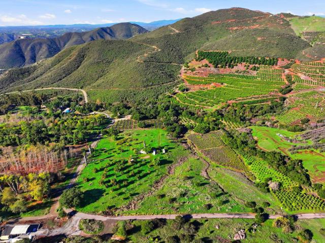 Front Image Thumbnail for CRNDP2511641