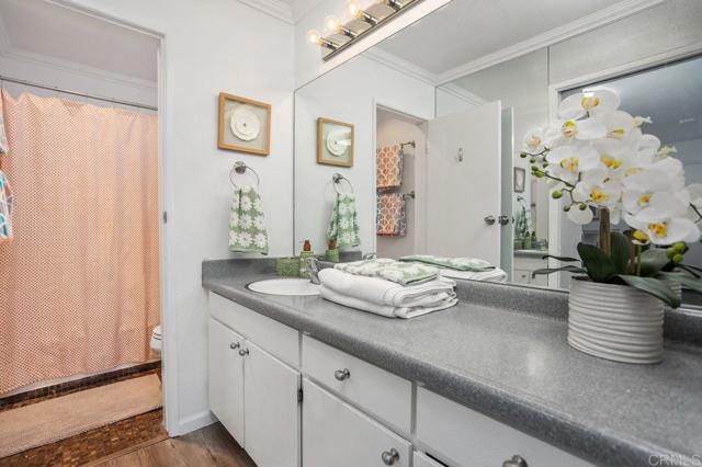 Image 13 of 36 For 1885 Diamond Street 329