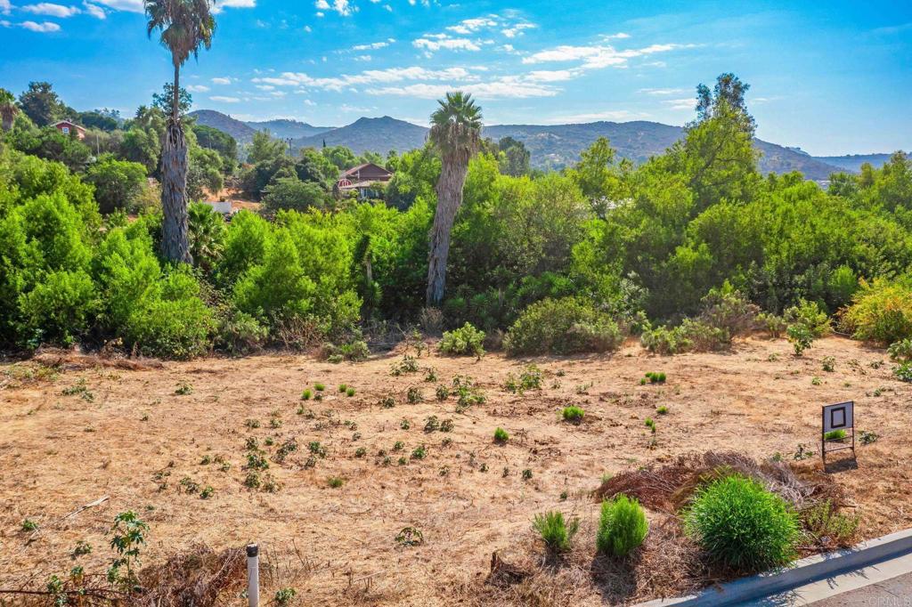 15157 Huntington Court - photo 13