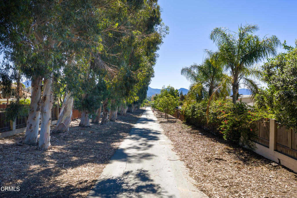 MLS #V1-32958 image #39