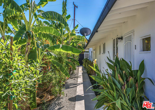 459 E Avenida Olancha, Palm Springs CA: https://media.crmls.org/mediaz/a900df11-872d-4657-b7e4-812e6745aefb.jpg